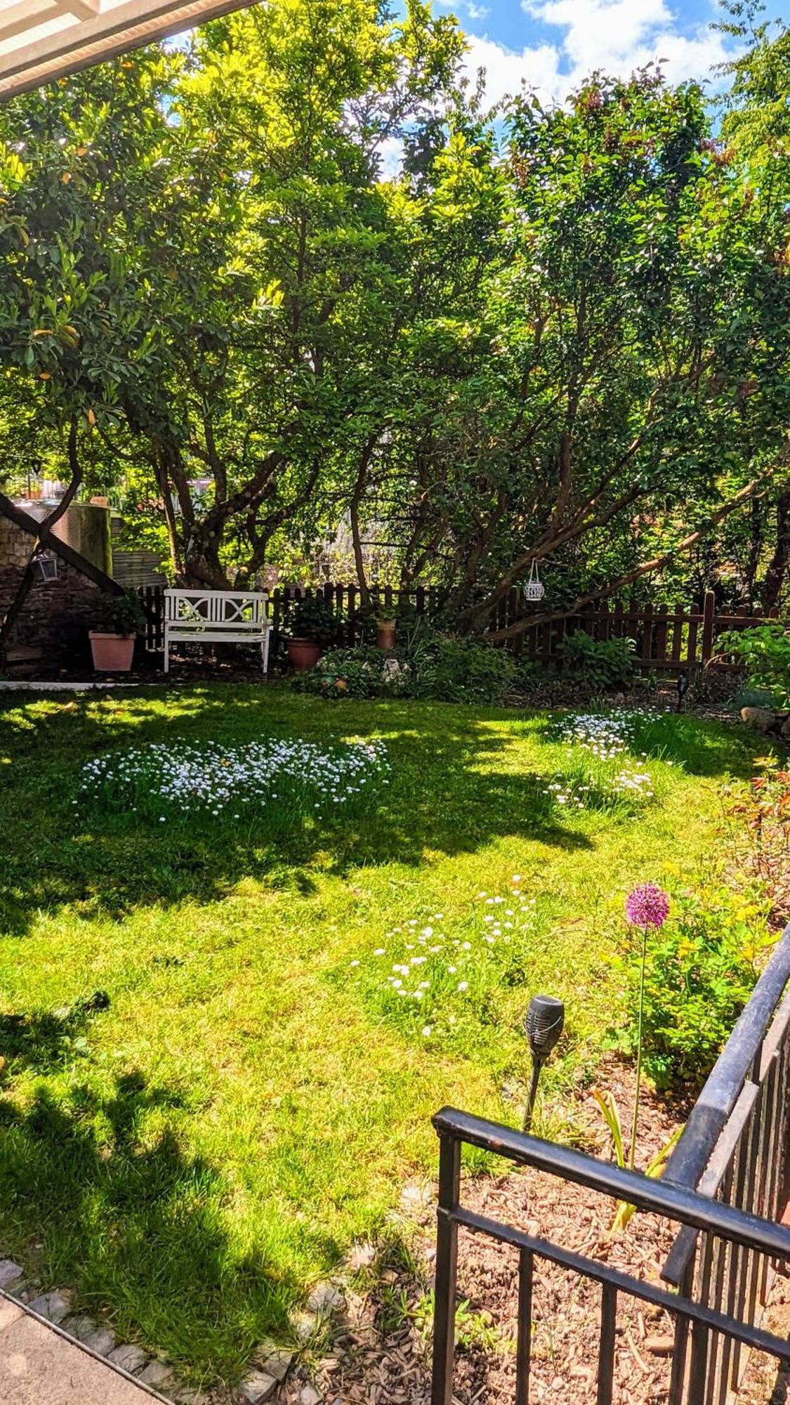 Ferienhaus Dhrontal Neumagen-Dhron Ruang foto